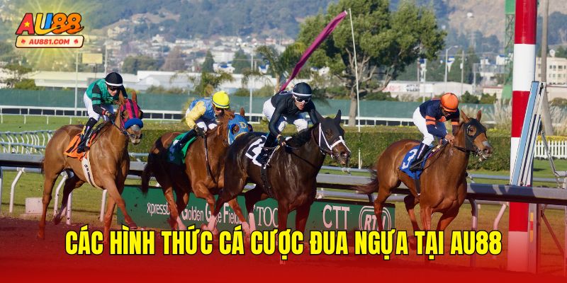 Các Hình Thức Cá Cược Đua Ngựa Tại AU88