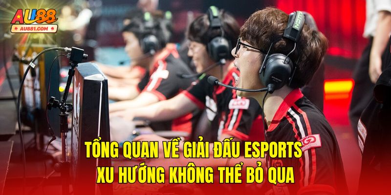 Tổng Quan Về Giải Đấu Esports – Xu Hướng Không Thể Bỏ Qua